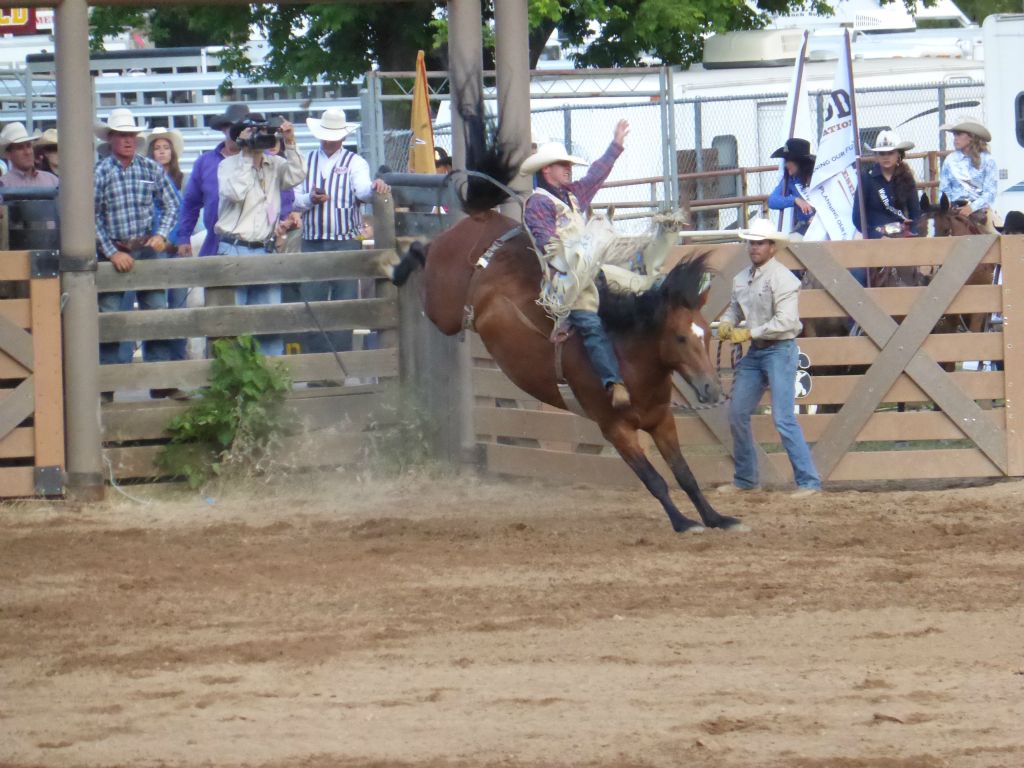 Couvre-volant rose Bucking Horse & Rider -  Canada